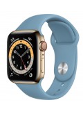 Apple Watch Series 6 GPS + Cellular Edelstahlgehäuse Gold 40mm Sportarmband Nordischblau
