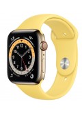Apple Watch Series 6 GPS + Cellular Edelstahlgehäuse Gold 44mm Sportarmband Ingwer