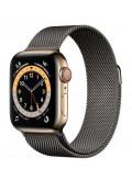 Apple Watch Series 6 GPS + Cellular Edelstahlgehäuse Gold 40mm Milanaise Armband Graphit