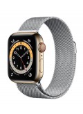 Apple Watch Series 6 GPS + Cellular Edelstahlgehäuse Gold 40mm Milanaise Armband Silber