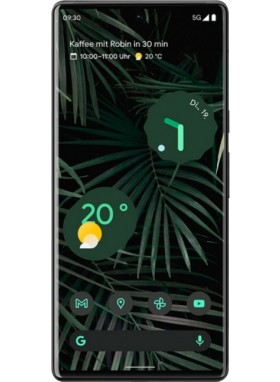 Google Pixel 6 Pro Logo