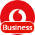 Vodafone Business Vodafone Business